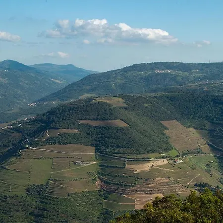 Apartmento - Casa Dos Meninos דירה Godim