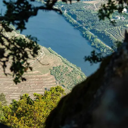 Apartmento - Casa Dos Meninos Lejlighed Godim