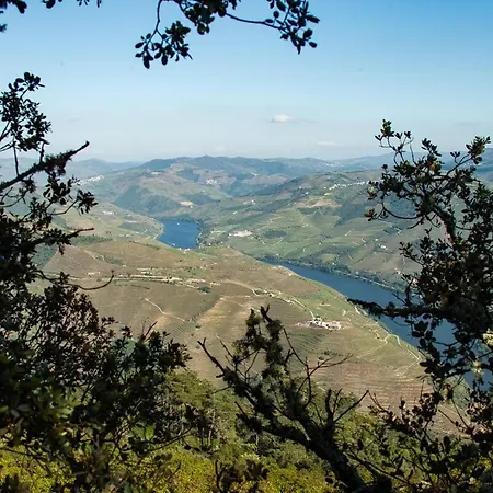 Lejlighed Apartmento - Casa Dos Meninos *