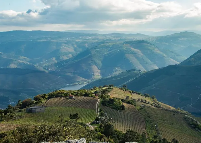 Apartmento - Casa Dos Meninos * Godim